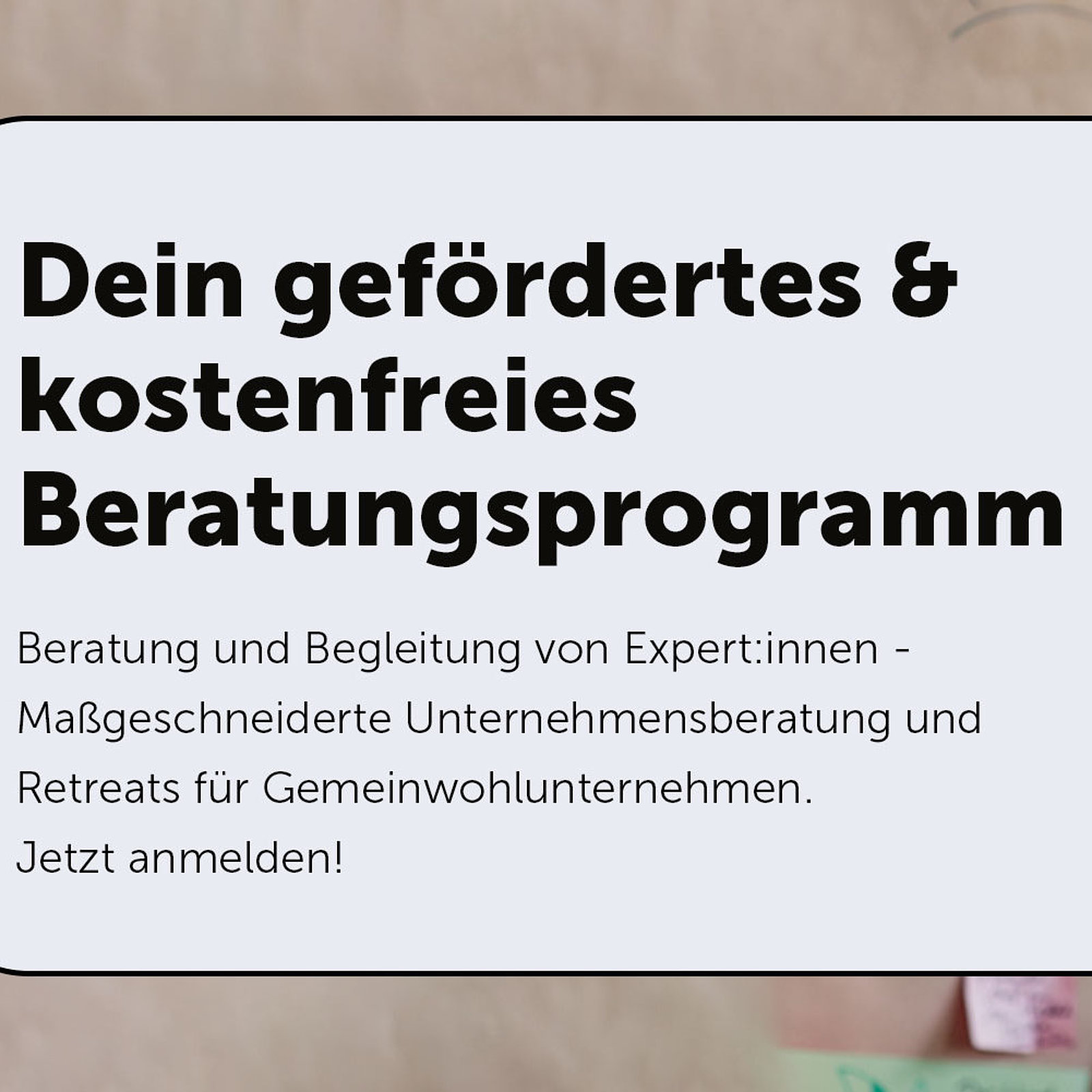 Das kostenfreie Scale for Good Beratungsprogramm
